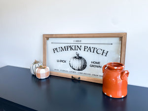 Pumpkin Patch Window