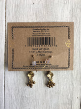 Load image into Gallery viewer, Earrings Alloy